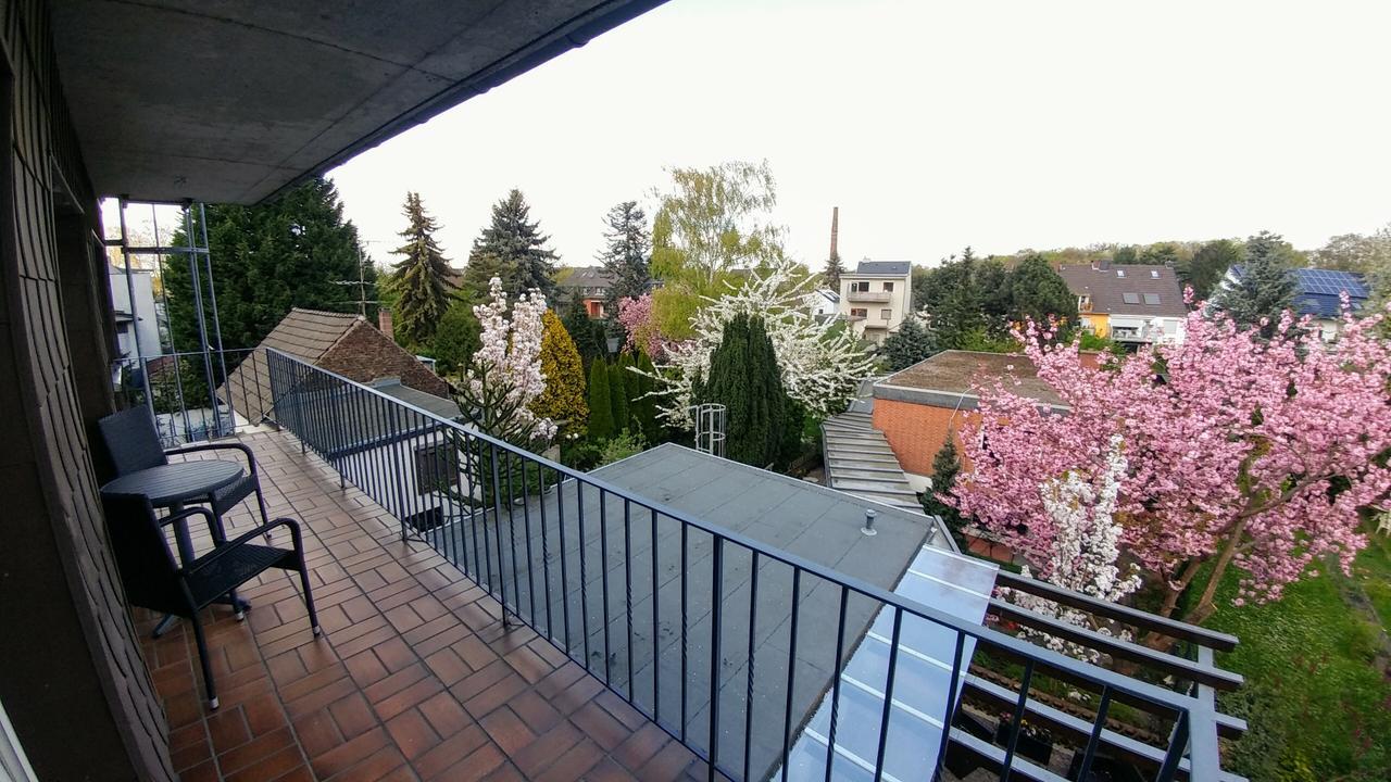 Hotel Wilms Cologne Exterior photo